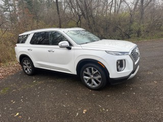 Image for 2020 Hyundai Palisade SEL ID: 7028863