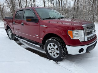 Image for 2013 Ford F-150 XL ID: 7038203