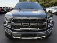 Image for 2020 Ford F-150 Raptor ID: 6784297