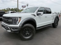 Image for 2023 Ford F-150 Raptor ID: 6862095