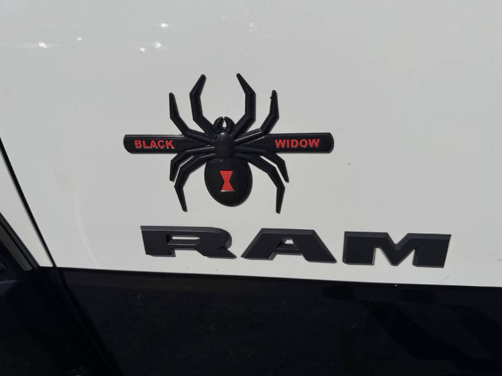 2019 RAM 2500 Image 22