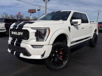 Image for 2021 Ford F-150 Supercrew ID: 7103415