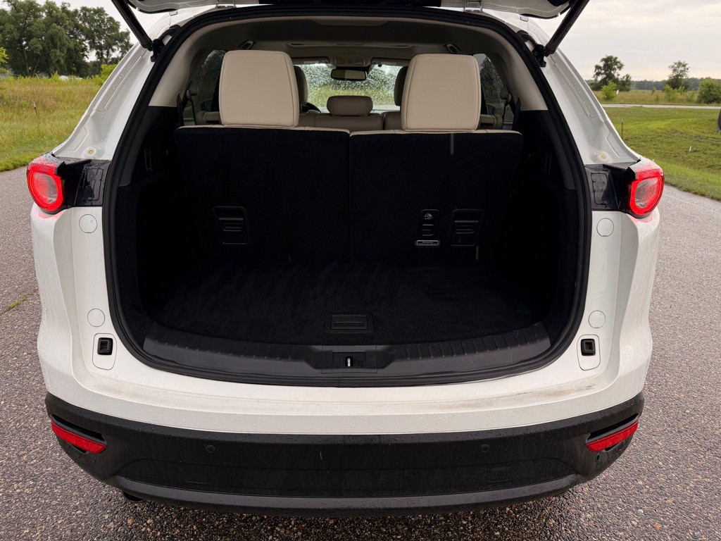 2017 Mazda CX-9 Image 15