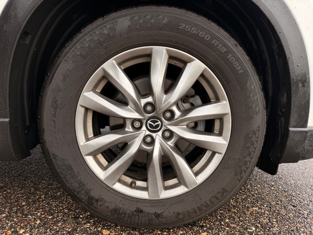 2017 Mazda CX-9 Image 30