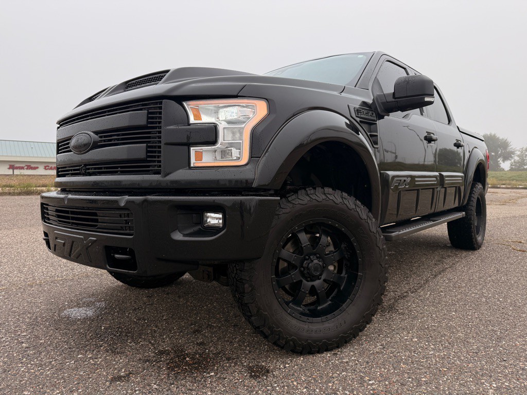 2015 Ford F-150 Image 1