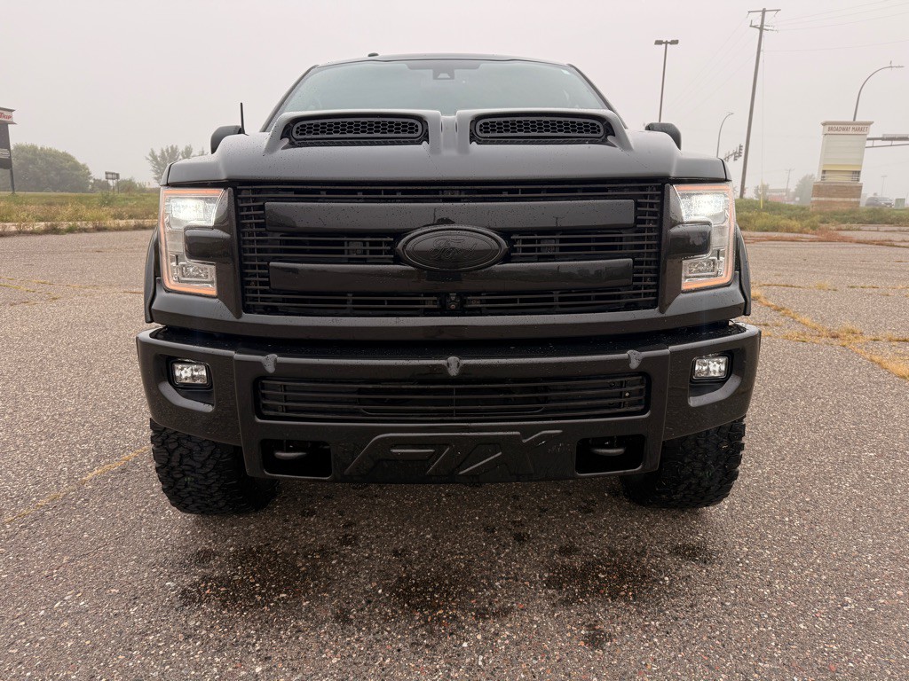 2015 Ford F-150 Image 2