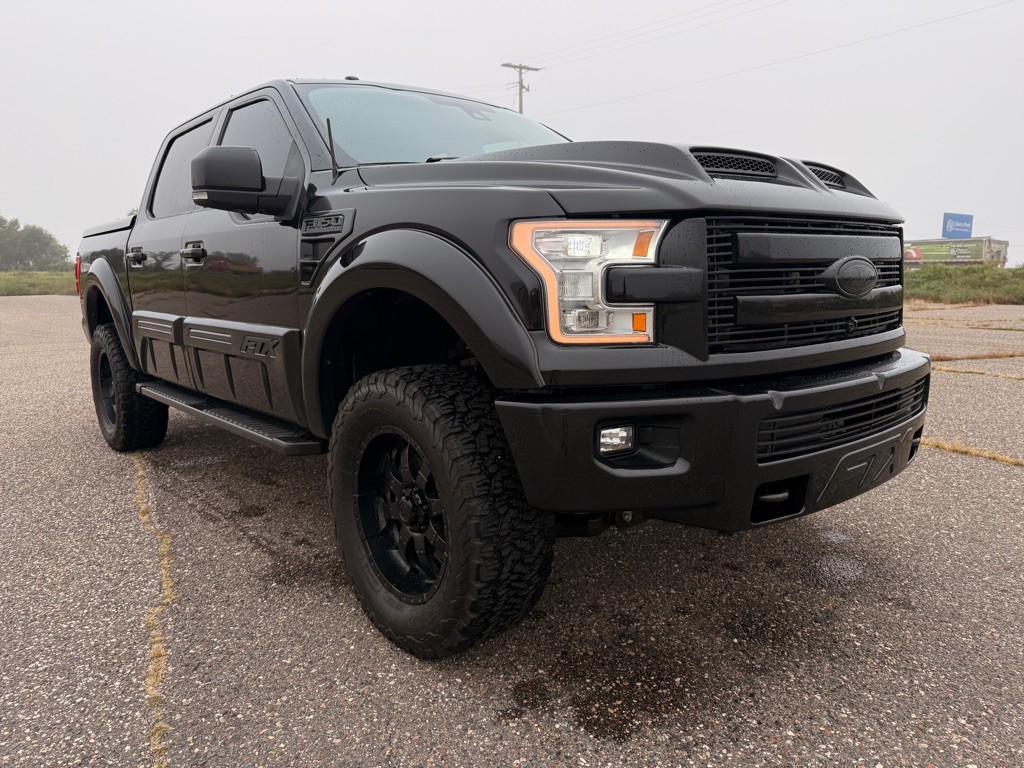 2015 Ford F-150 Image 3