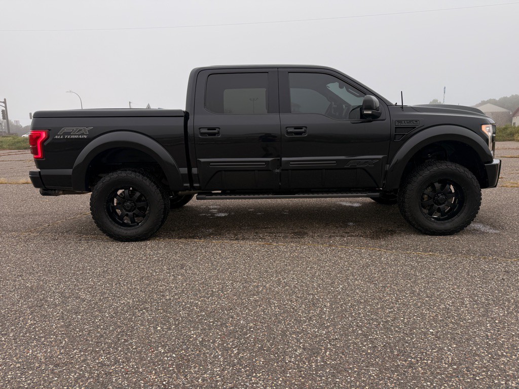2015 Ford F-150 Image 4