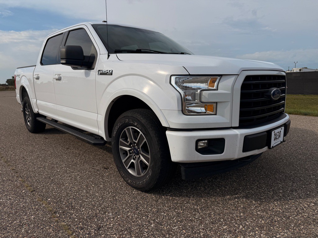 2017 Ford F-150 Image 3