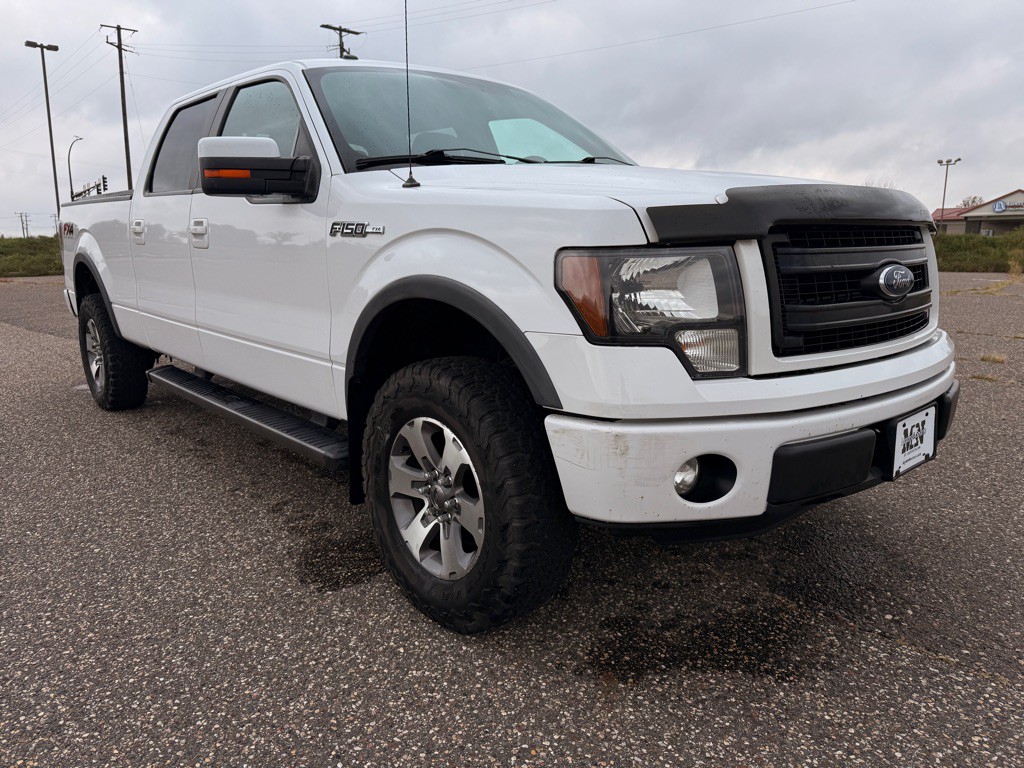 2014 Ford F-150 Image 3