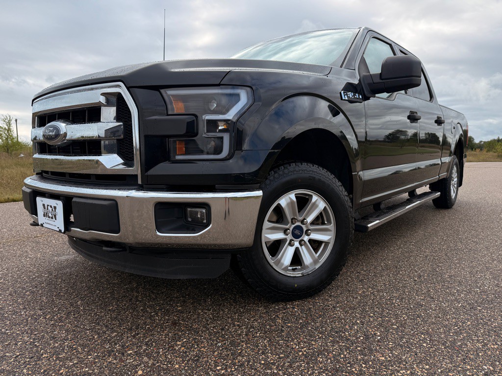 2016 Ford F-150 Image 1