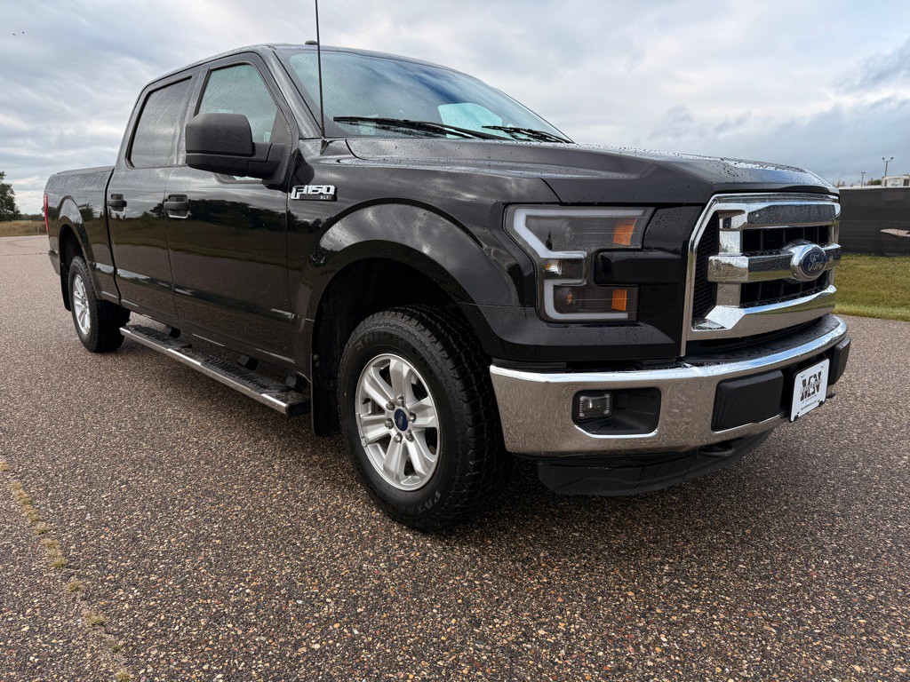 2016 Ford F-150 Image 3