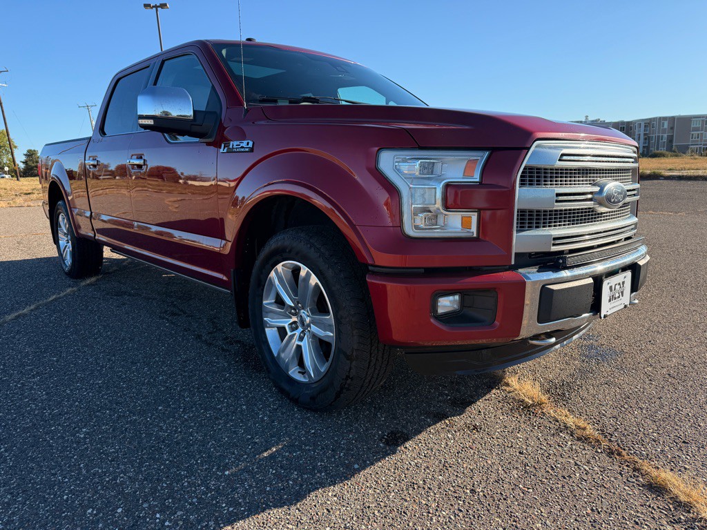 2016 Ford F-150 Image 3