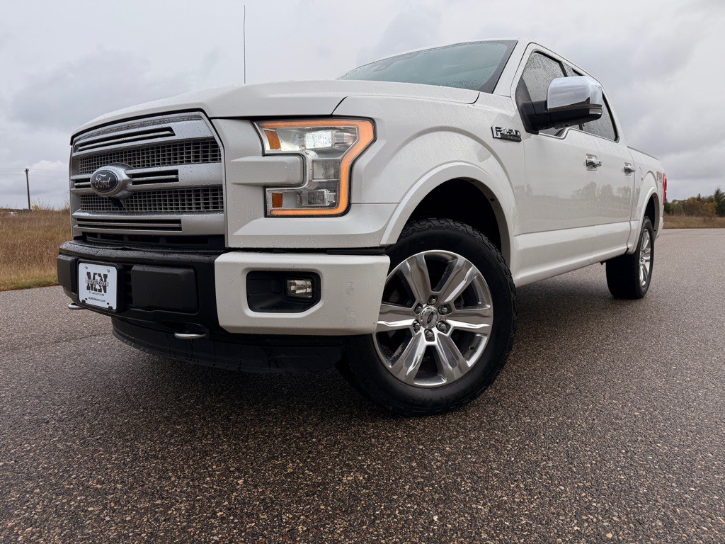 2016 Ford F-150 Image 1