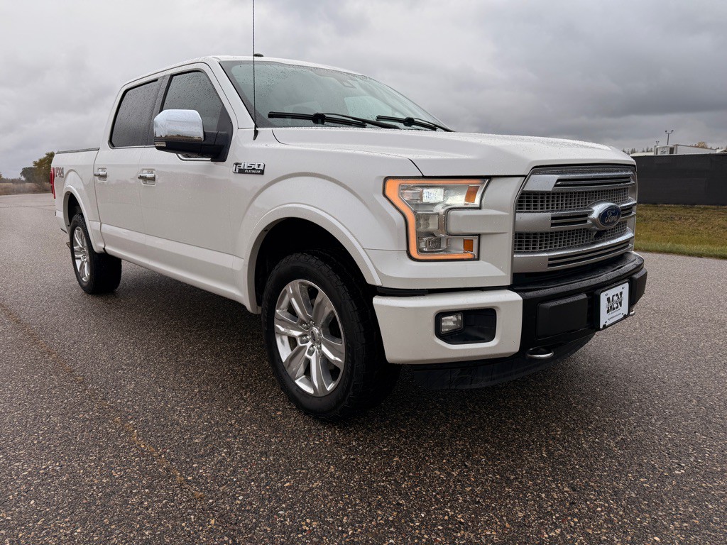 2016 Ford F-150 Image 3