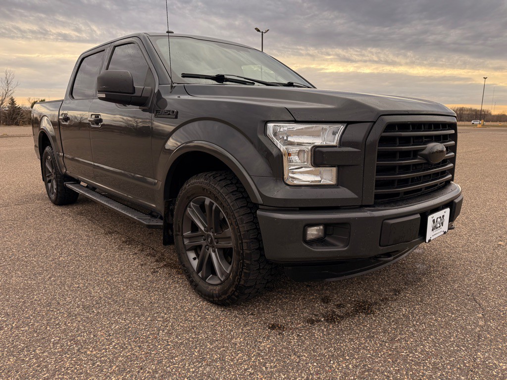 2016 Ford F-150 Image 3