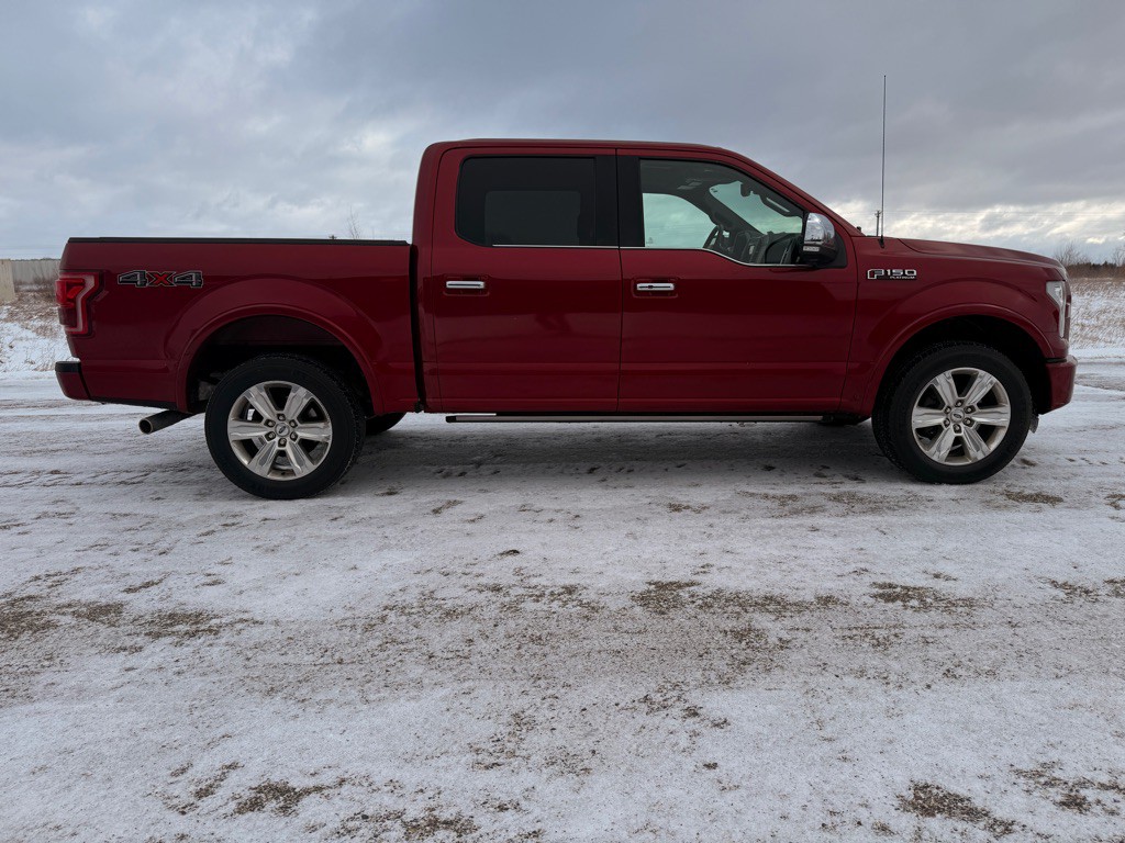 2016 Ford F-150 Image 4