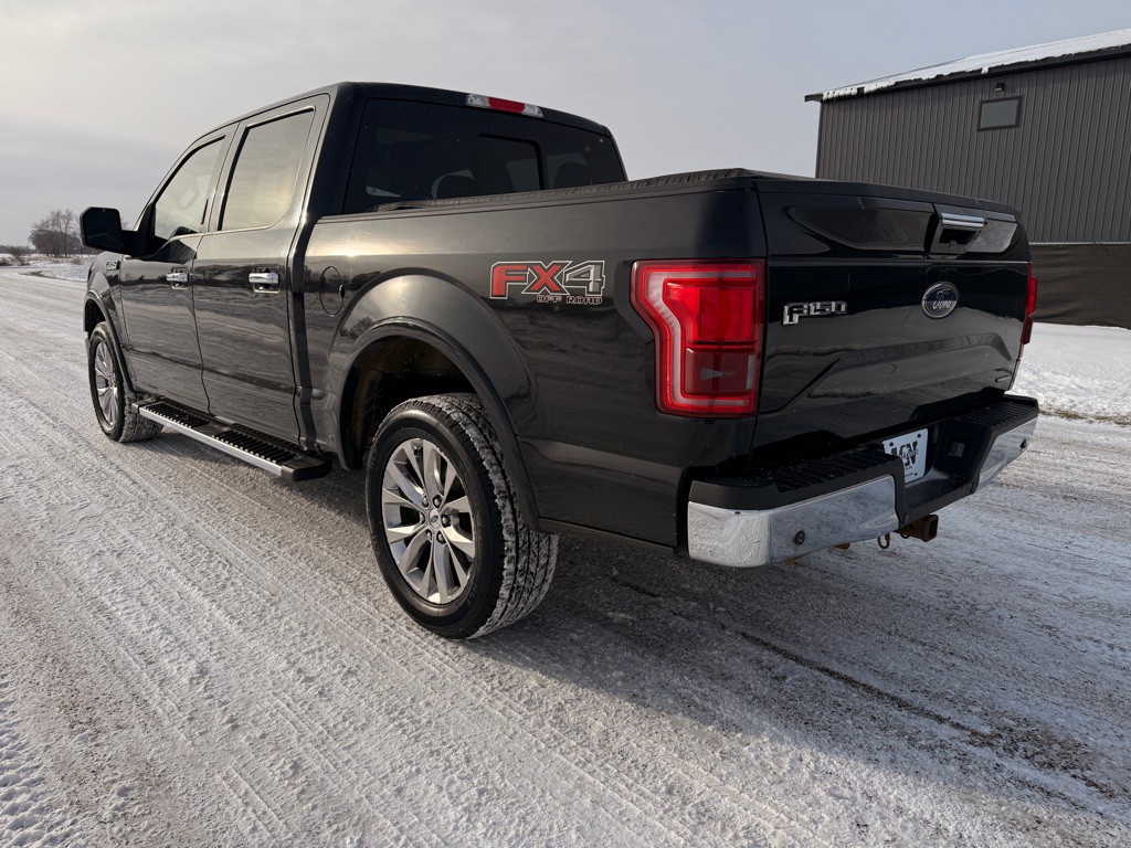 2015 Ford F-150 Image 7