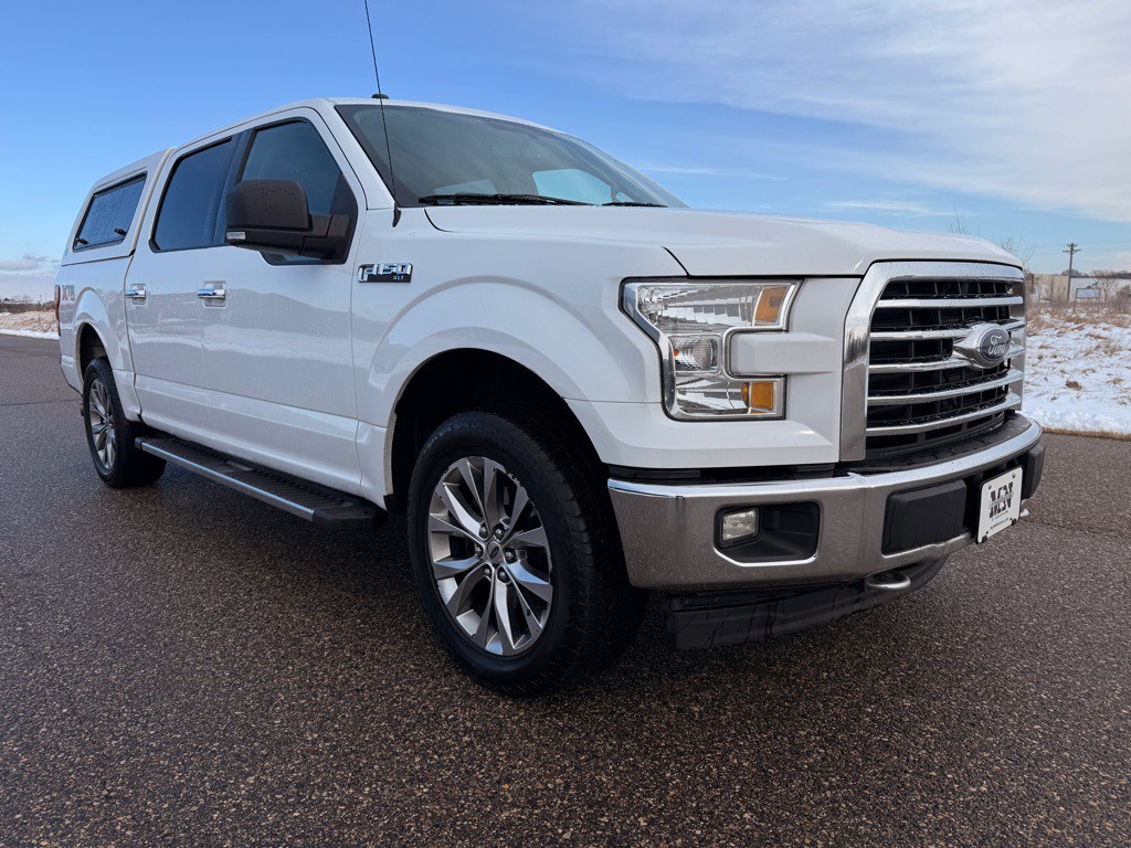 2017 Ford F-150 Image 3