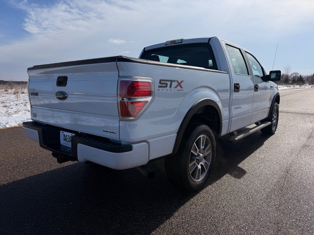 2014 Ford F-150 Image 5