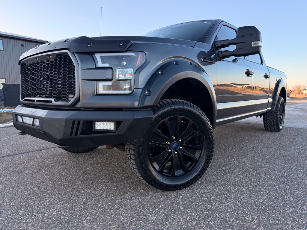 2016 Ford F-150 Image 1