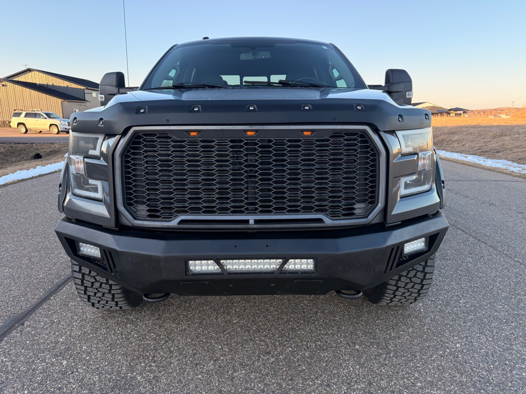 2016 Ford F-150 Image 2