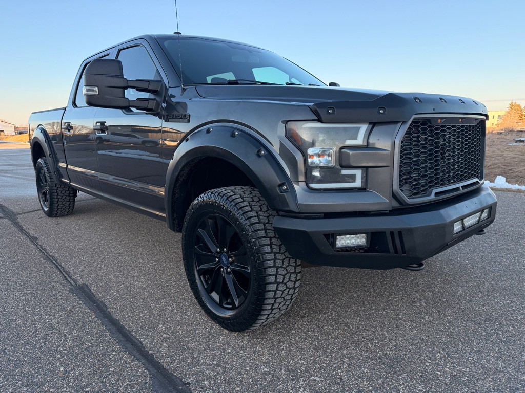 2016 Ford F-150 Image 3