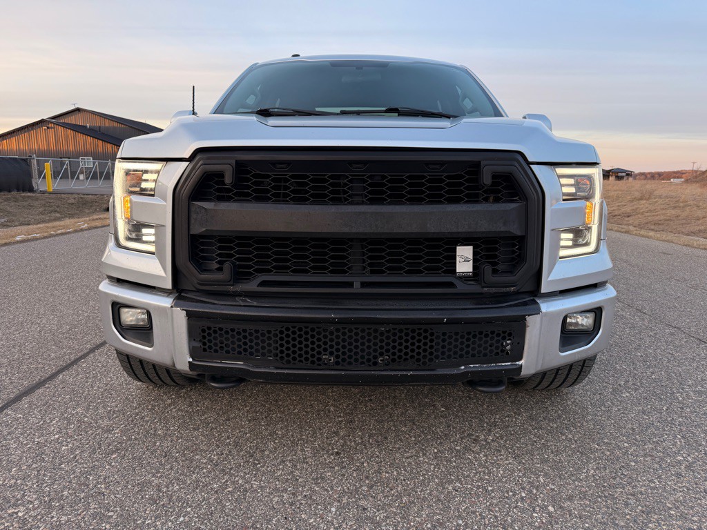 2016 Ford F-150 Image 2