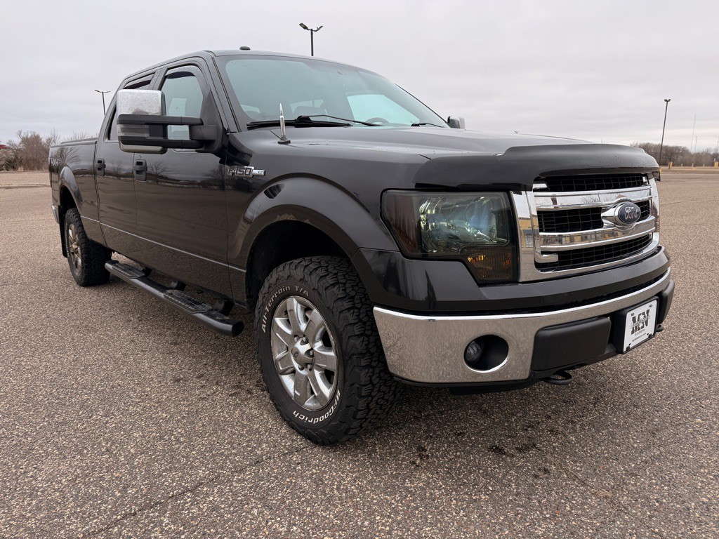 2014 Ford F-150 Image 3