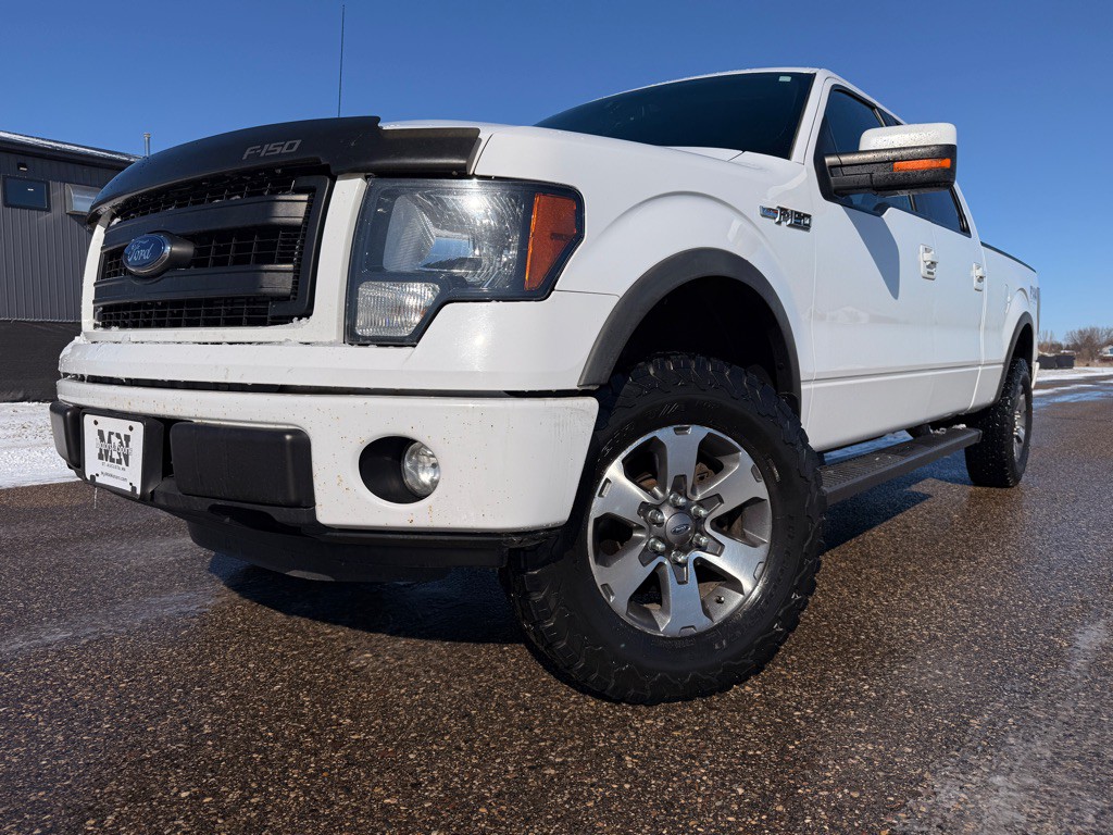 2014 Ford F-150 Image 1