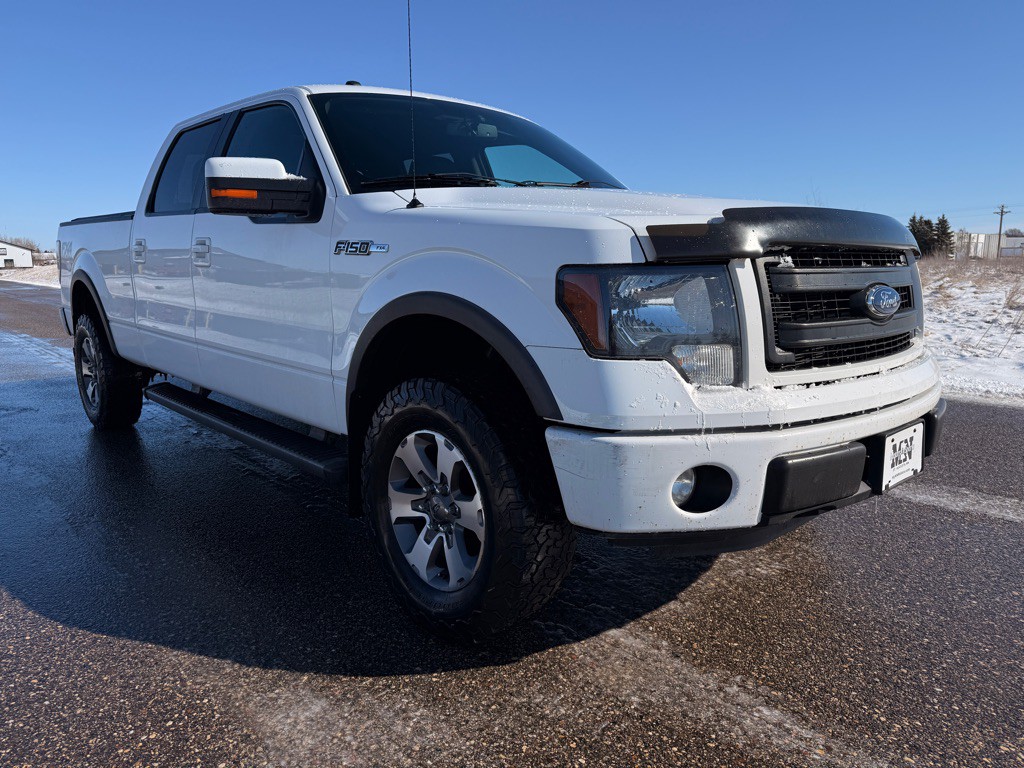 2014 Ford F-150 Image 3