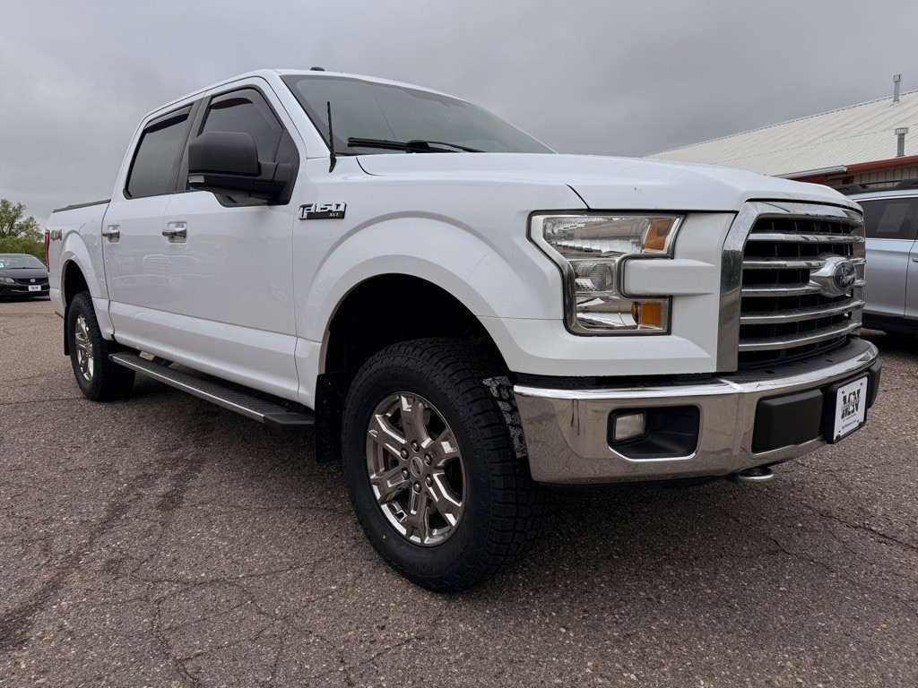 2016 Ford F-150 Image 3