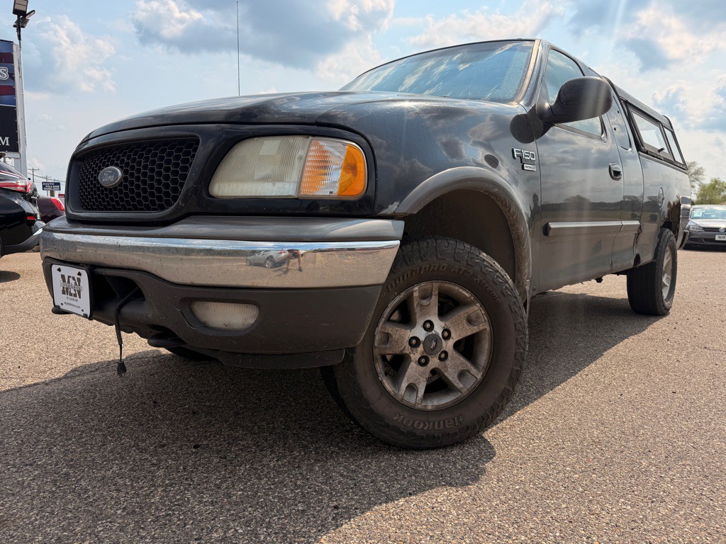2002 Ford F-150 Image 1