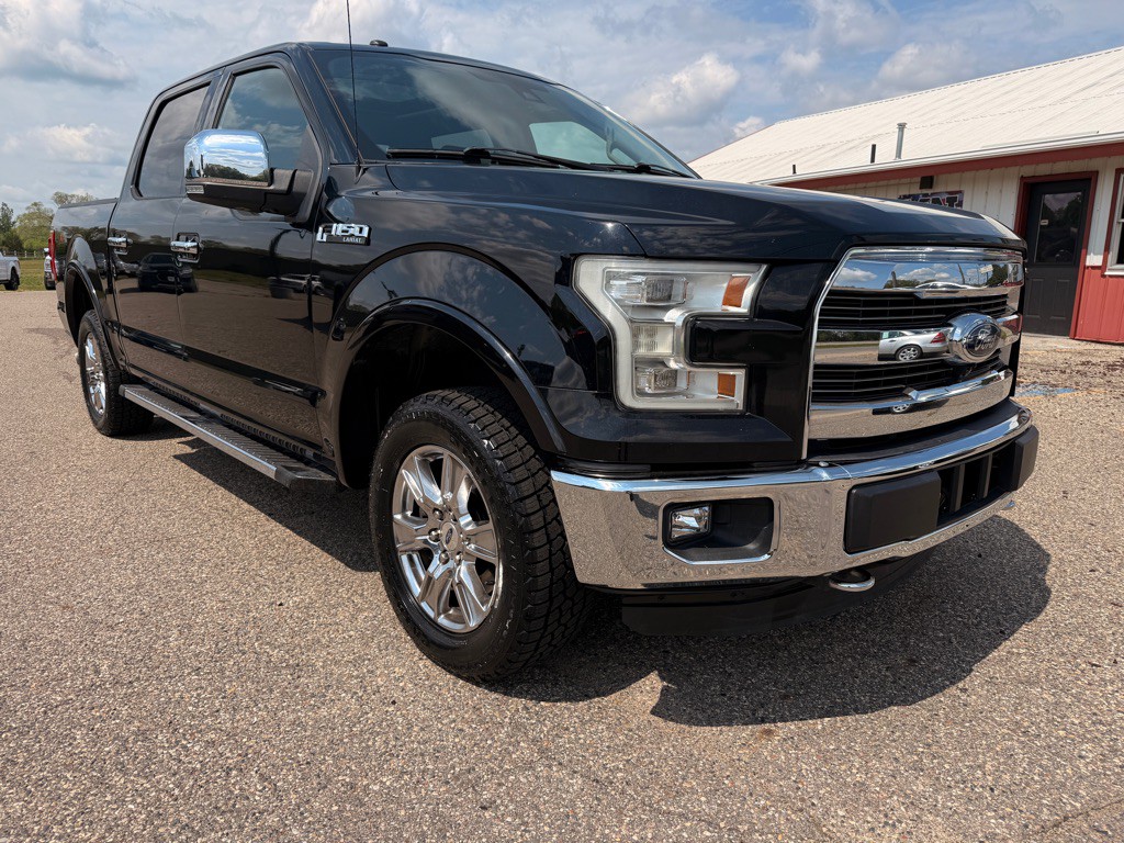 2016 Ford F-150 Image 3