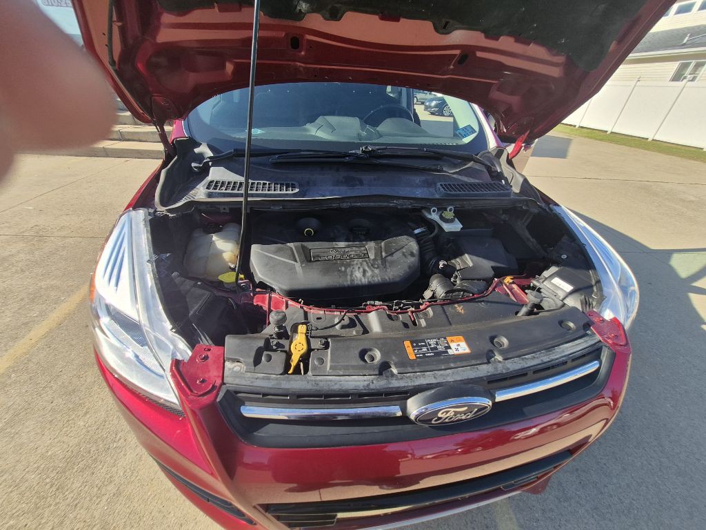 2014 Ford Escape Image 14