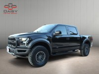 Image for 2020 Ford F-150 Raptor ID: 6746187