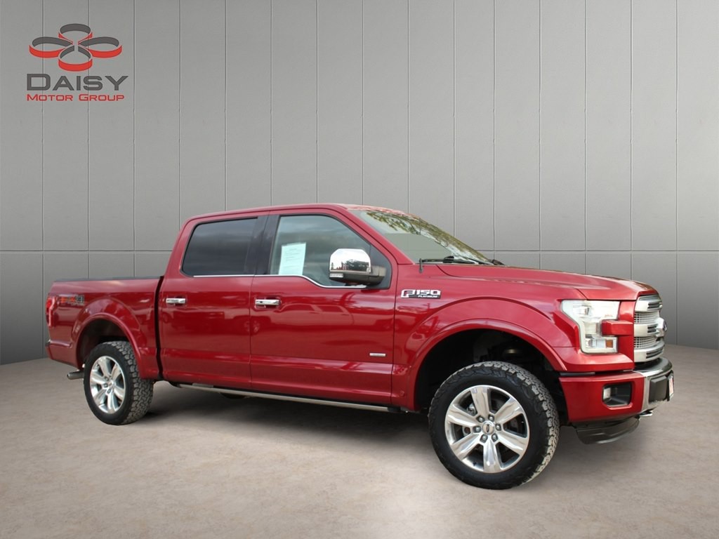 2016 Ford F-150 Image 3