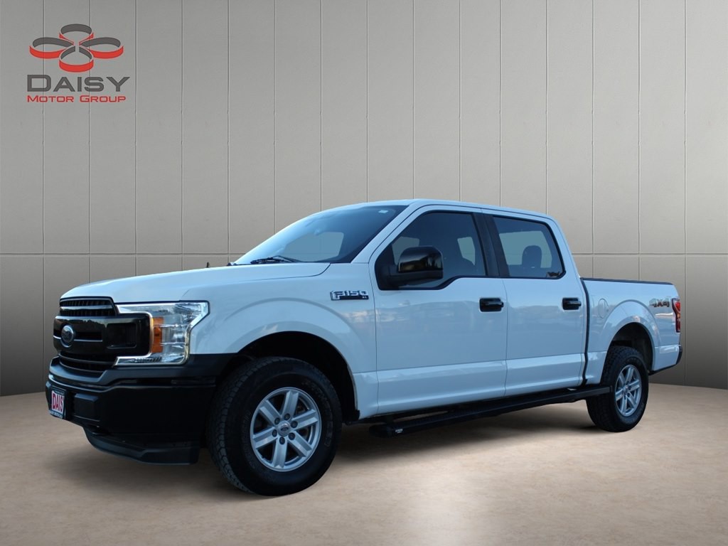 2019 Ford F-150 Image 1