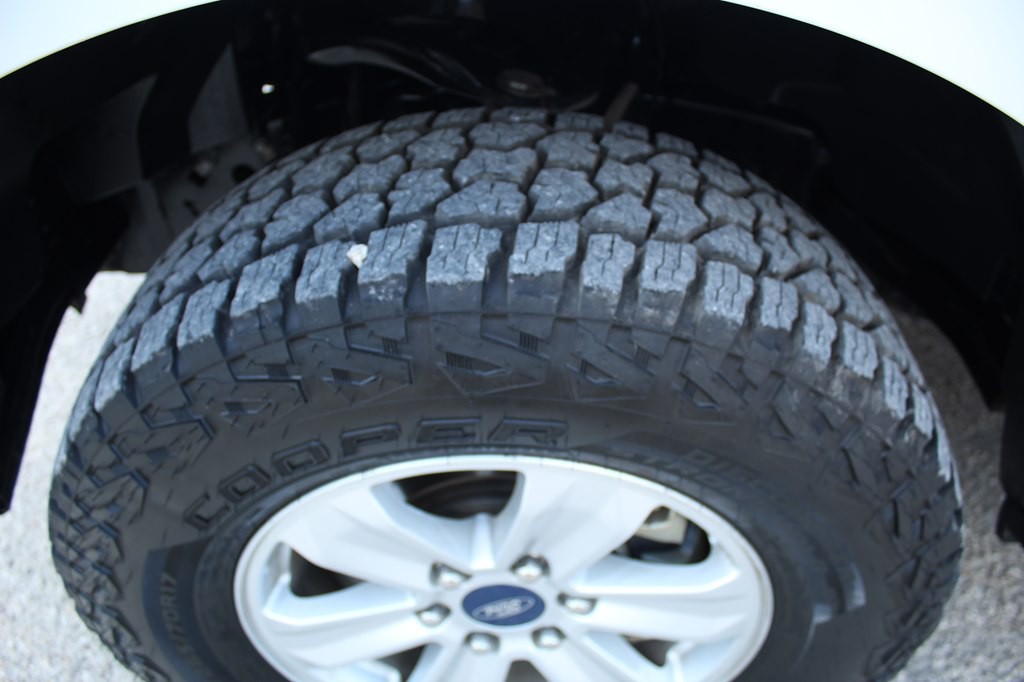 2019 Ford F-150 Image 10