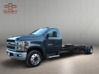 Image for 2019 Chevrolet Silverado 1500 Silverado Medium ID: 7479576