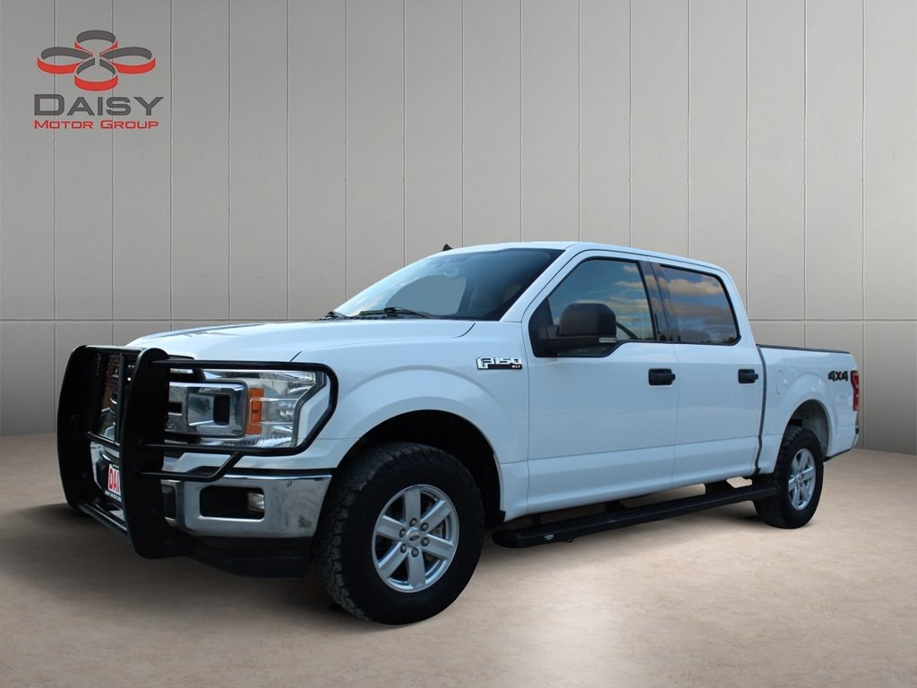 2019 Ford F-150 Image 1