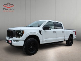 Image for 2021 Ford F-150 Supercrew ID: 7606297