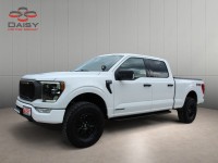 Image for 2021 Ford F-150 Supercrew ID: 7606297