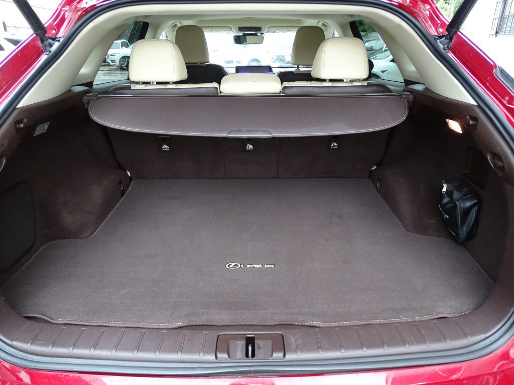 2016 Lexus RX Image 18