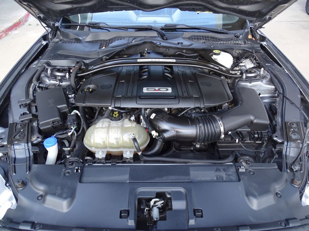 2021 Ford Mustang Image 14