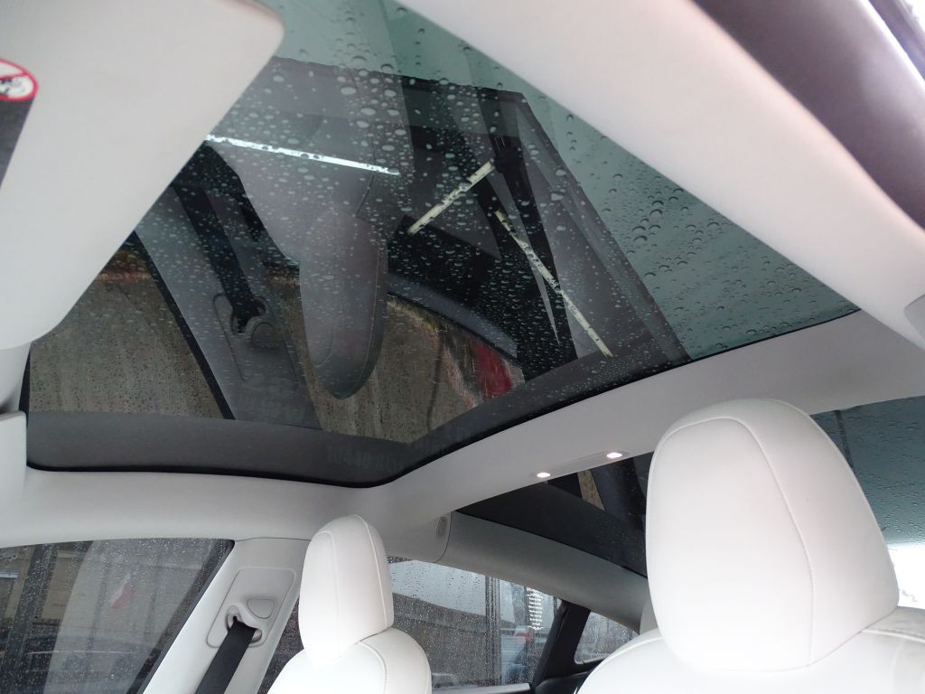 2020 Tesla Model 3 Image 11