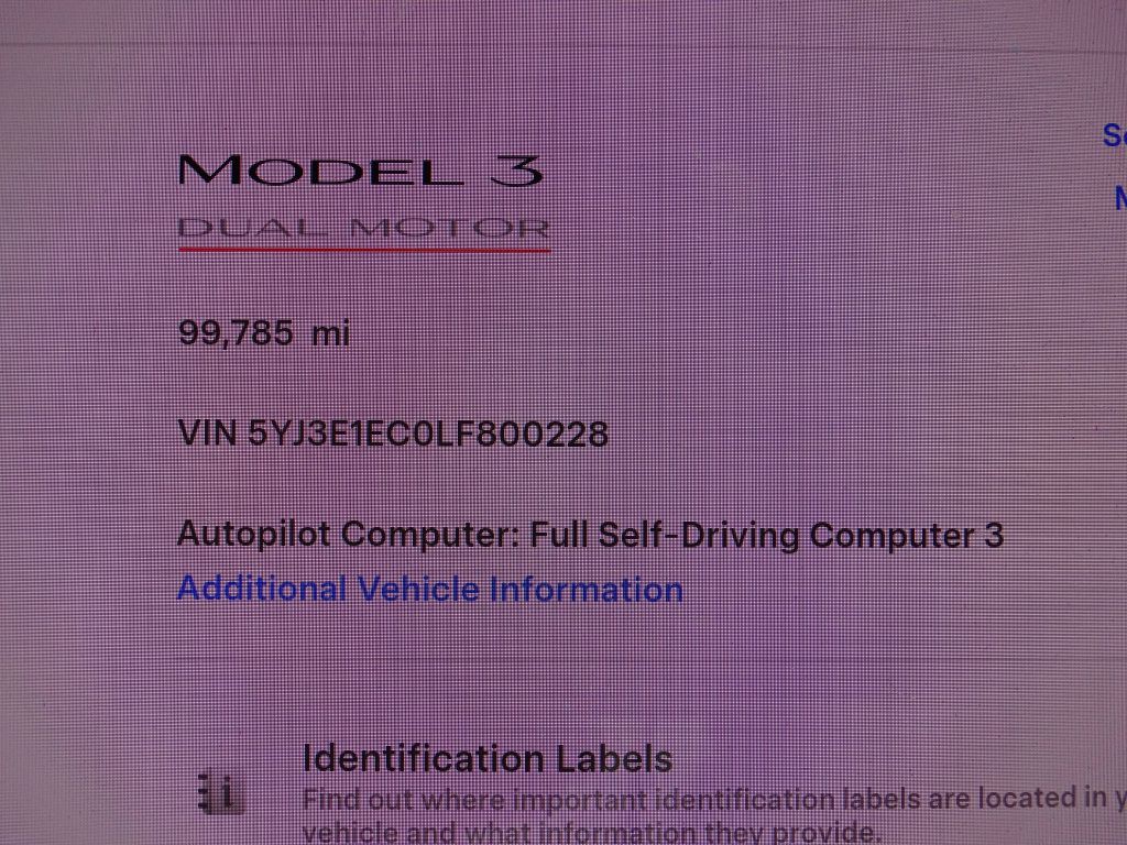 2020 Tesla Model 3 Image 14