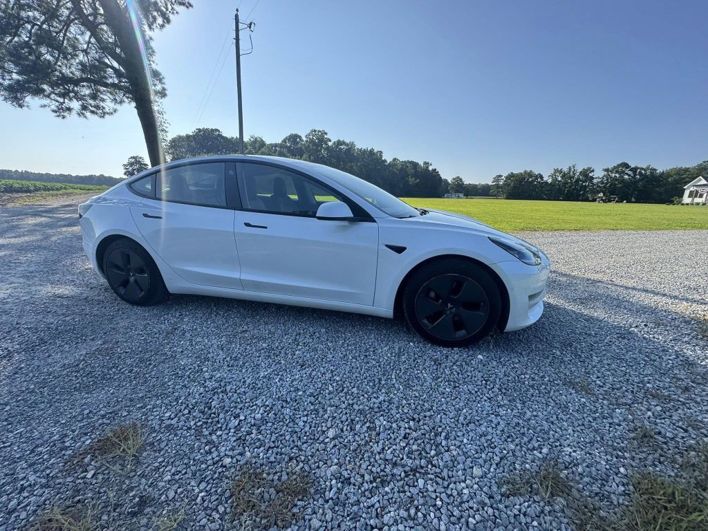 2021 Tesla Model 3 Image 2