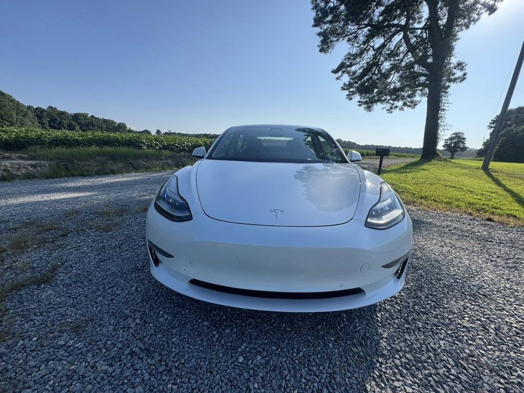 2021 Tesla Model 3 Image 3