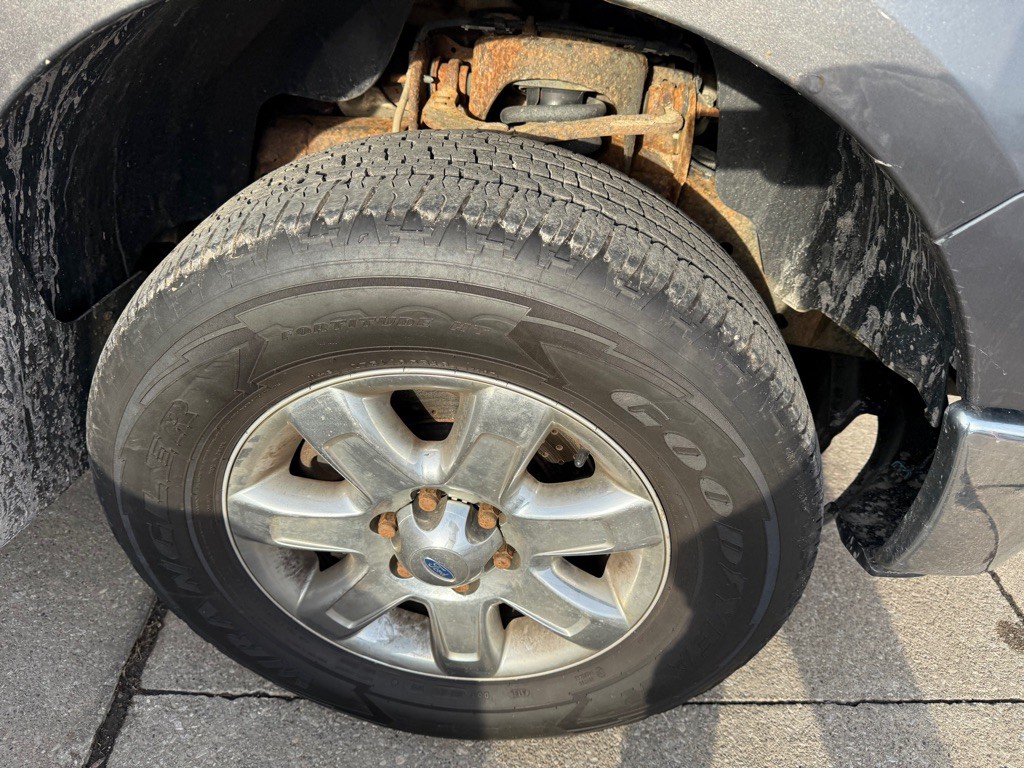 2013 Ford F-150 Image 5